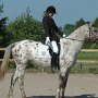 DSC_5000
