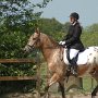 DSC_5595